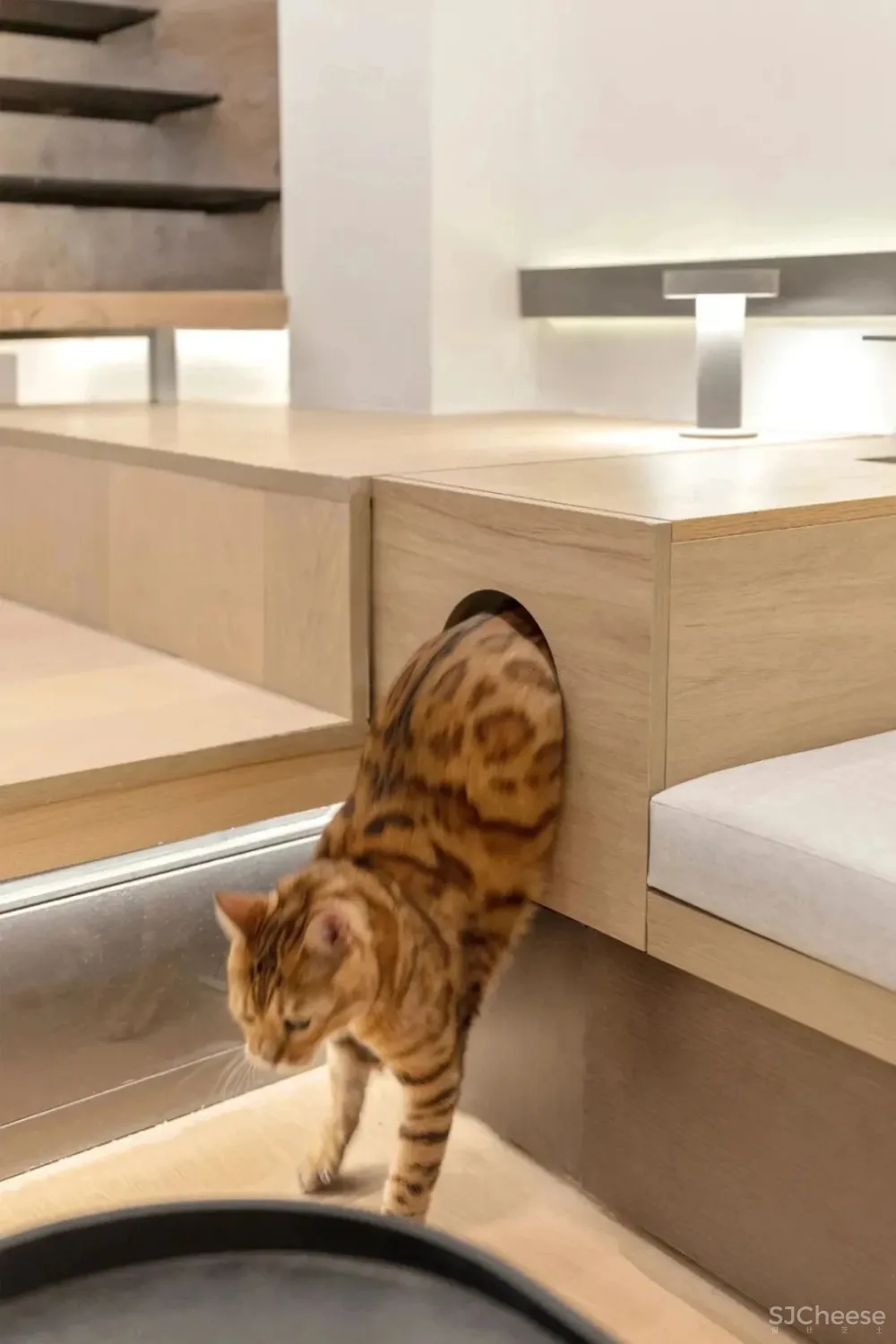 窝·居 2020东方卫视《梦想改造家》丨谢英凯设计