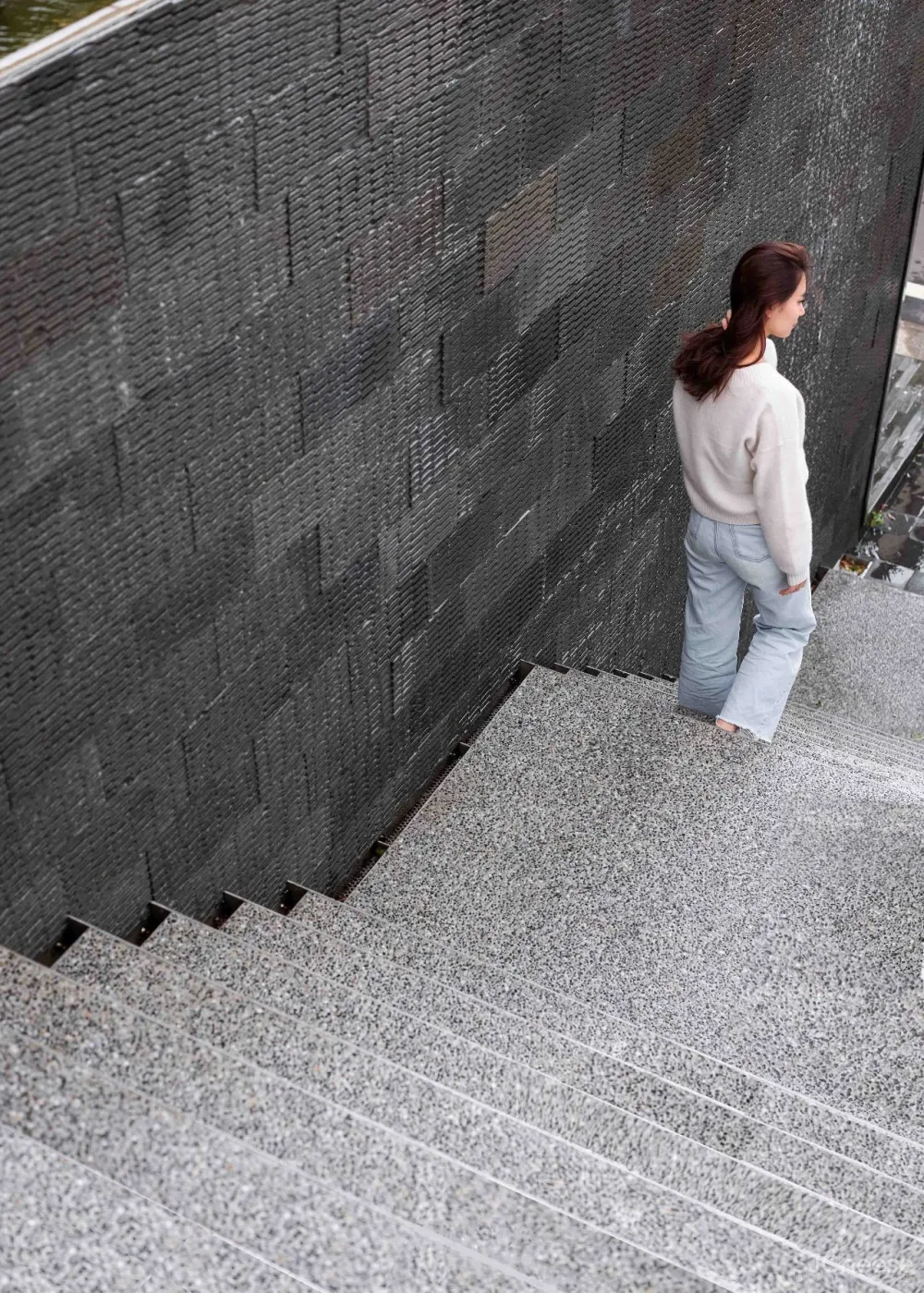 王中丞先生新作 浮光掠影