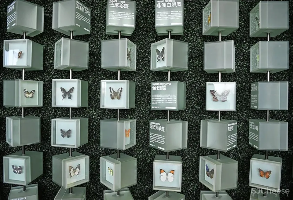 PONE普利策 万物几何,解构野性的诗意