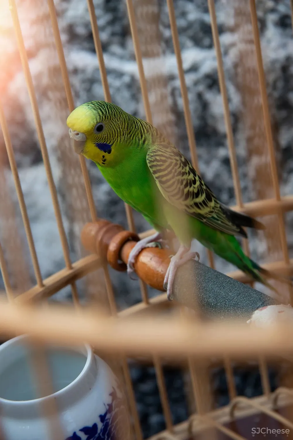 【新作】齐晋设计|长乐雅颂——穿越千年时光,诠释宋式生活美学