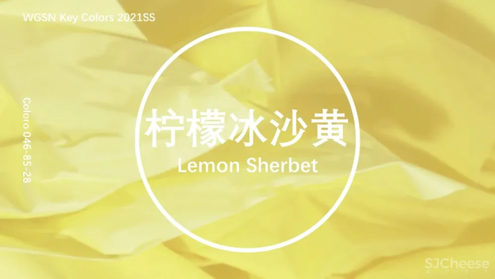 COLORO x WGSN丨2021春夏色来了，这5色美翻你的朋友圈！