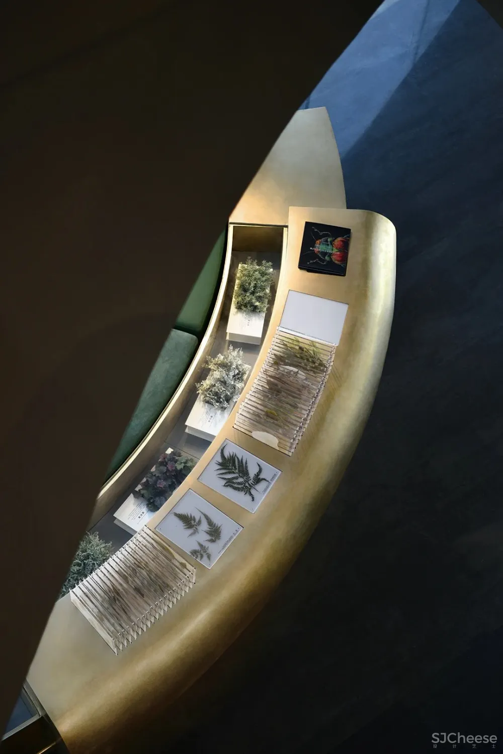 PONE普利策 万物几何,解构野性的诗意