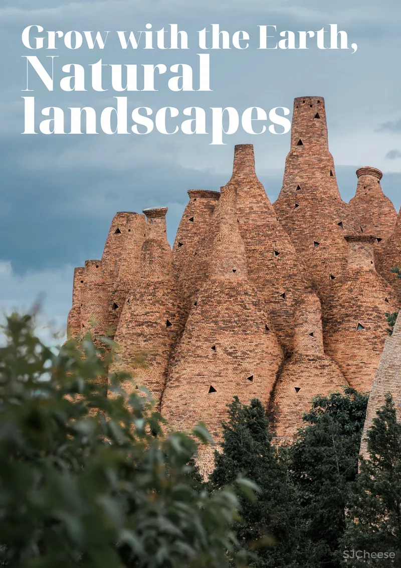 CCD 半朵雲遊天地間