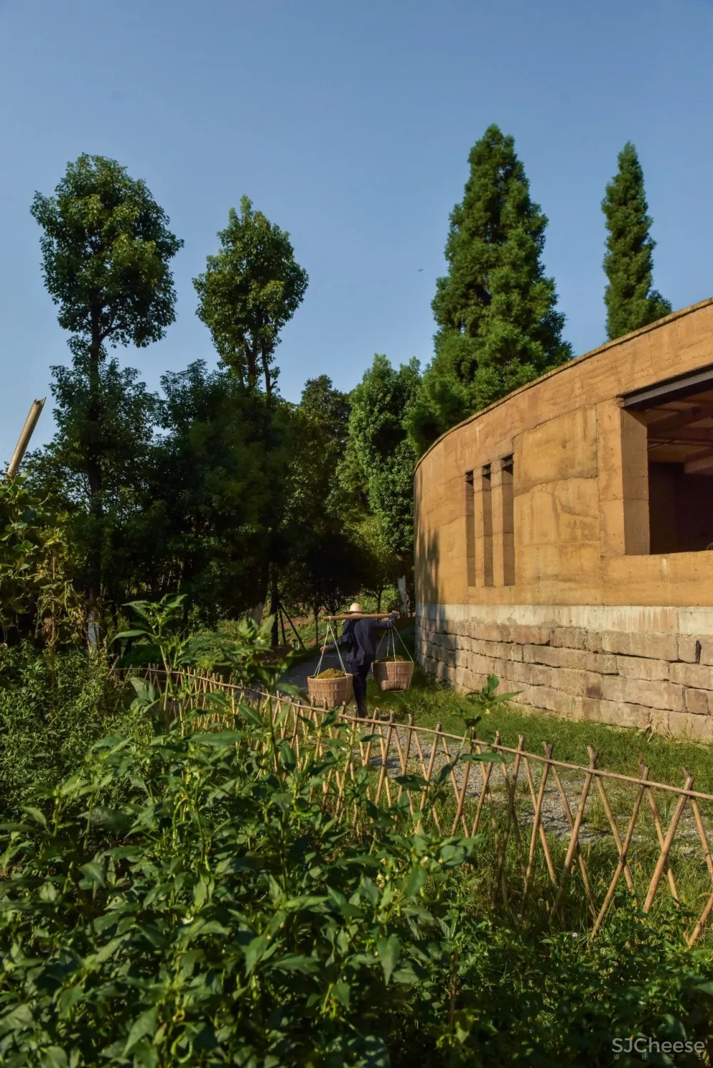 稻田里的农舍 自带烟火温度的家