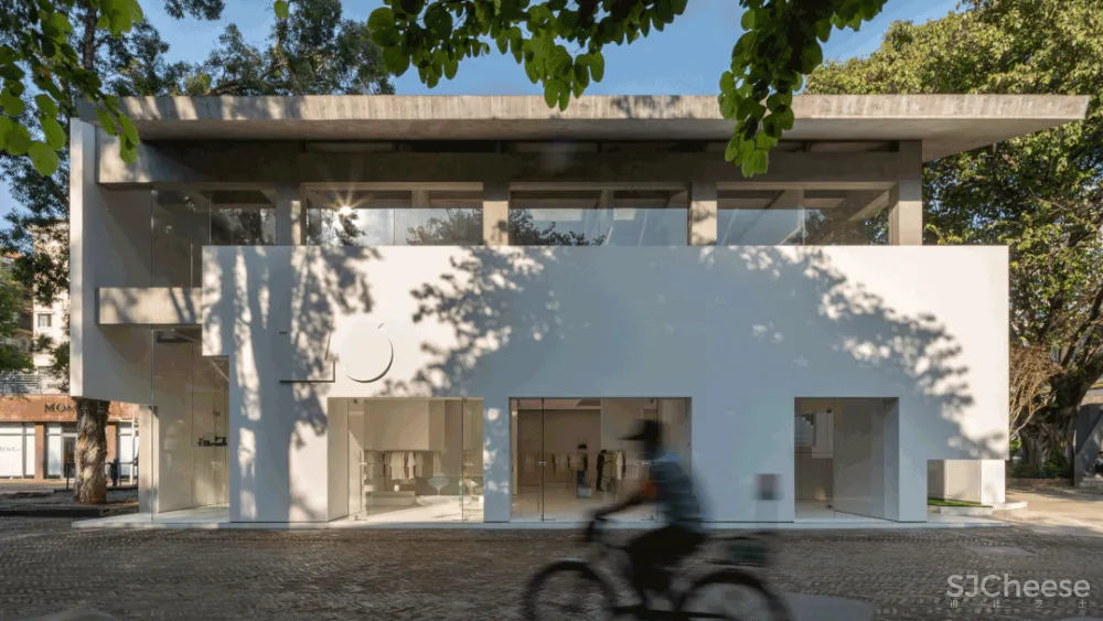 DOMANI 东 仓 白 · ZS Lab