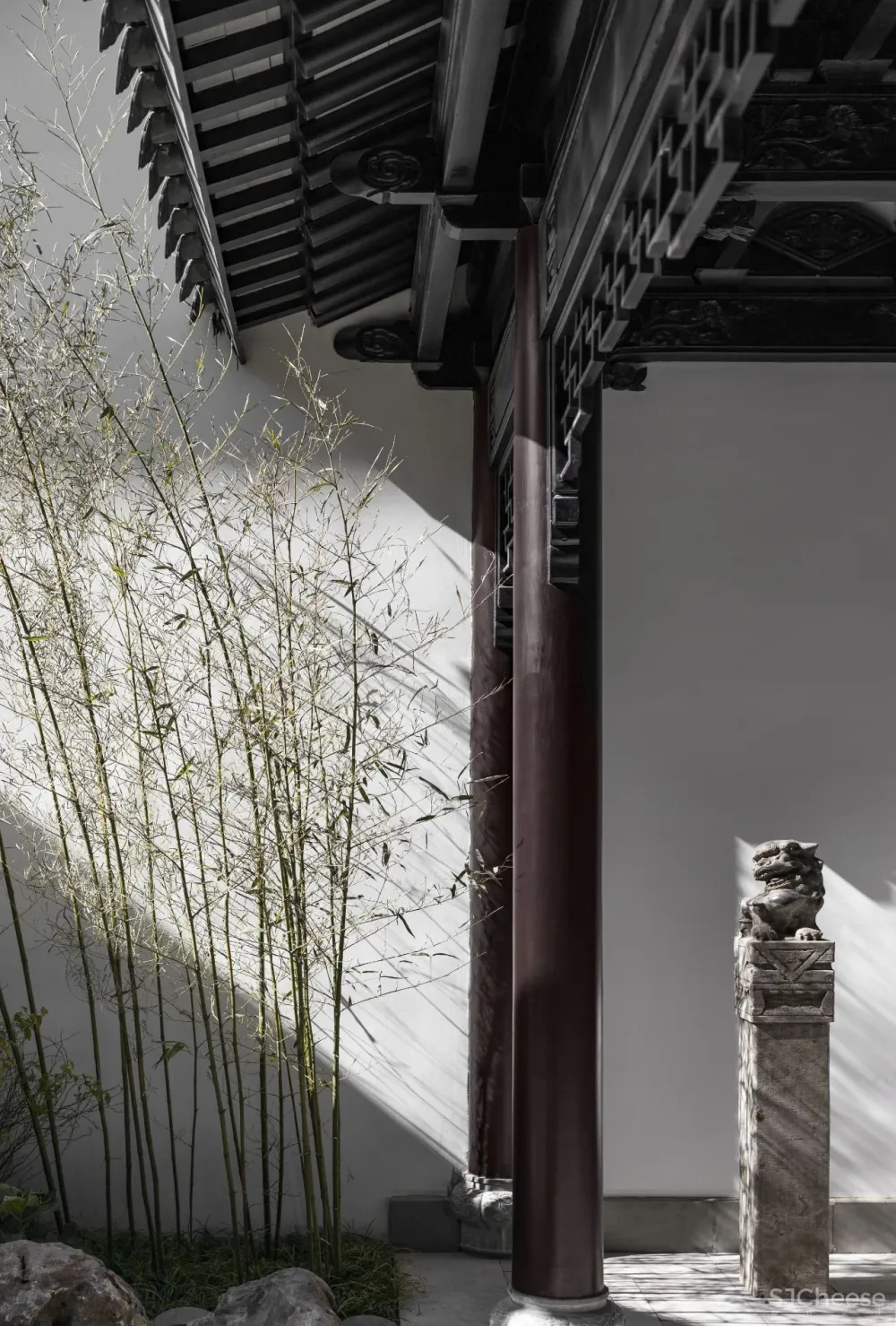 韵律东方 唐忠汉新作