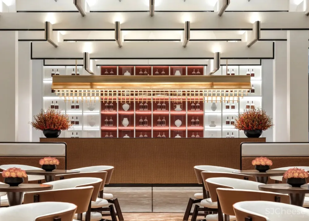 追影漫廊 · 游园惊梦|GBD 杜文彪