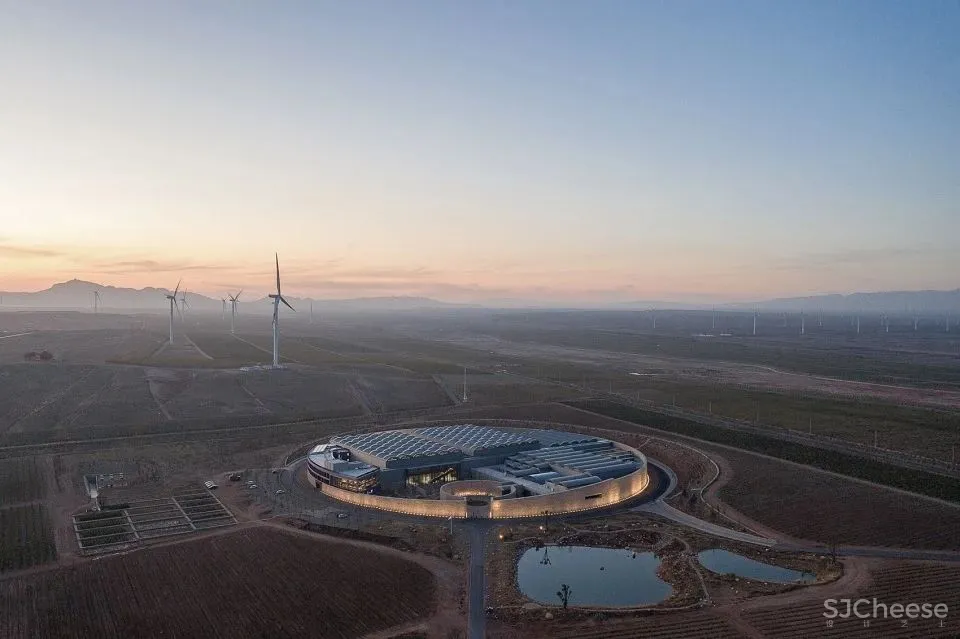 Winner 相上文象 × 西鸽酒庄：获 Best of Year Awards 2020年度最佳大奖