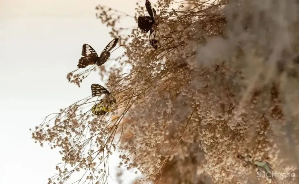 庄生晓梦 蝶舞中原 春山秋水