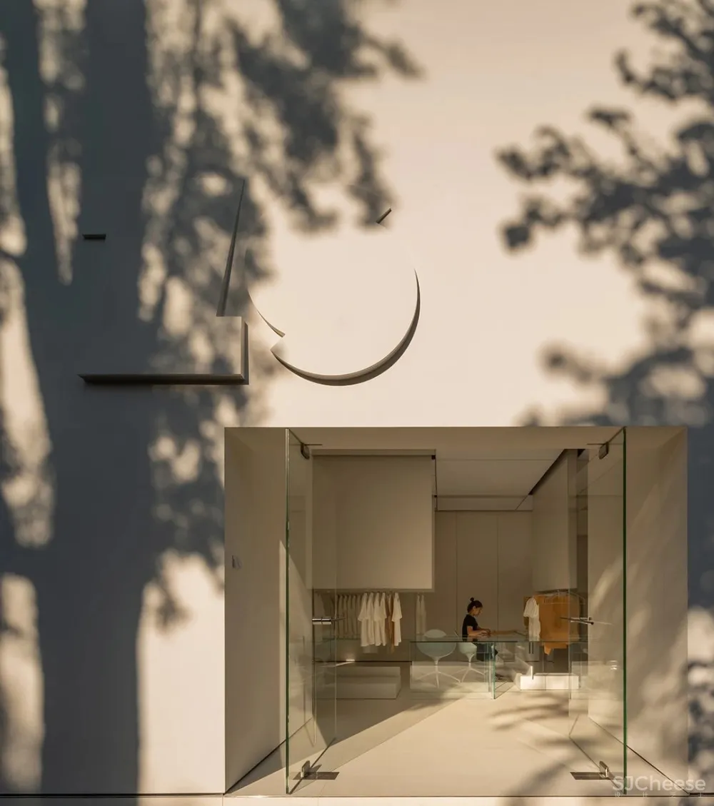 DOMANI 东 仓 白 · ZS Lab