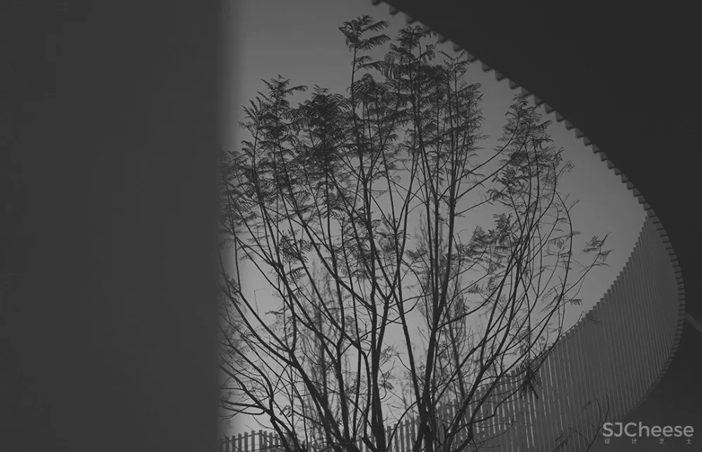 PONE普利策 万物几何,解构野性的诗意