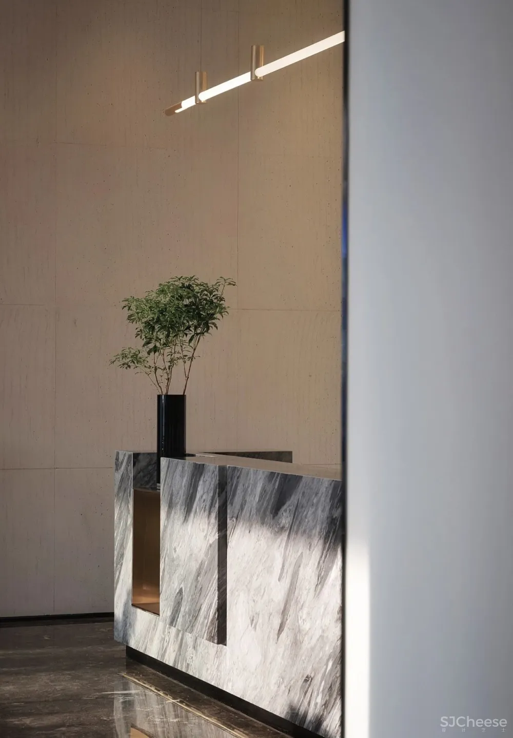 光影下的自然之舞，别具一格的清丽灵动！