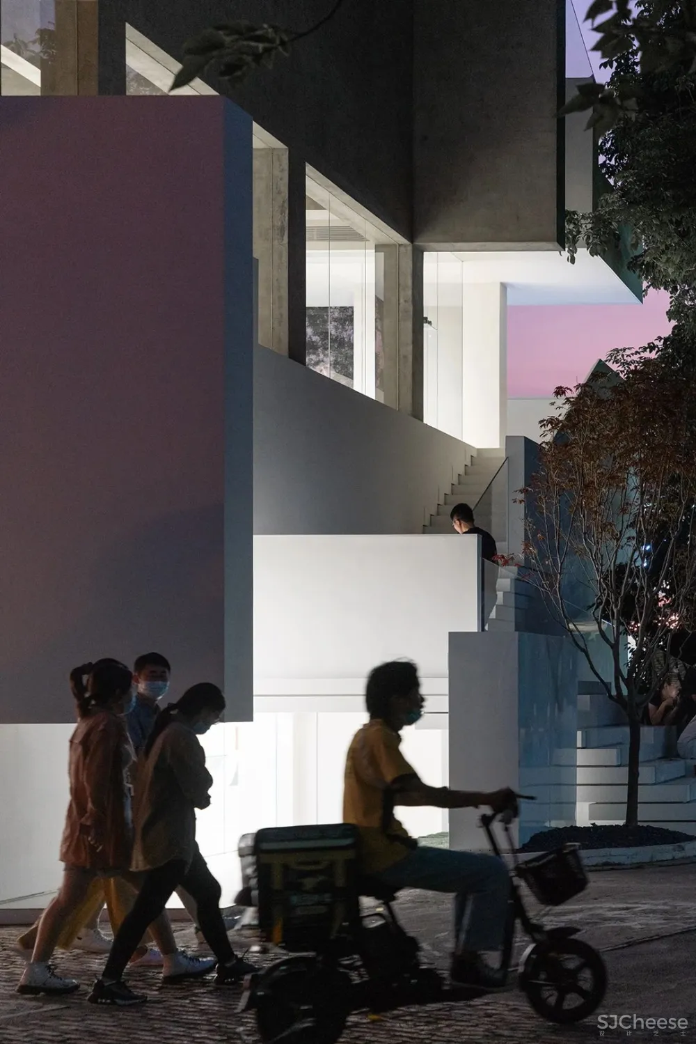 DOMANI 东 仓 白 · ZS Lab