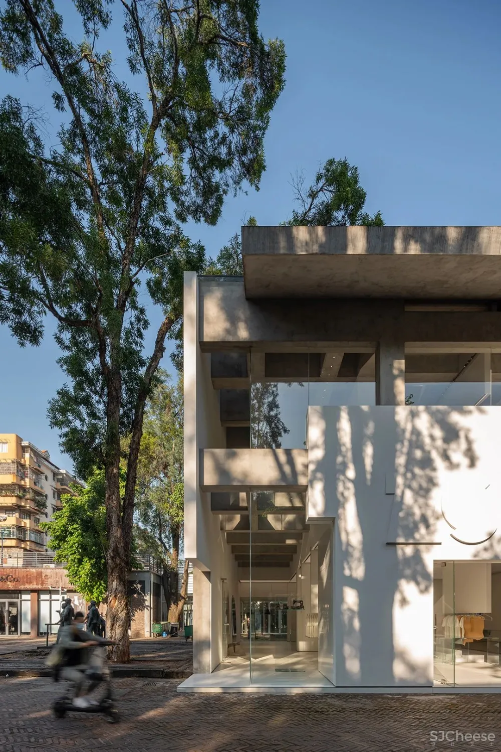 DOMANI 东 仓 白 · ZS Lab