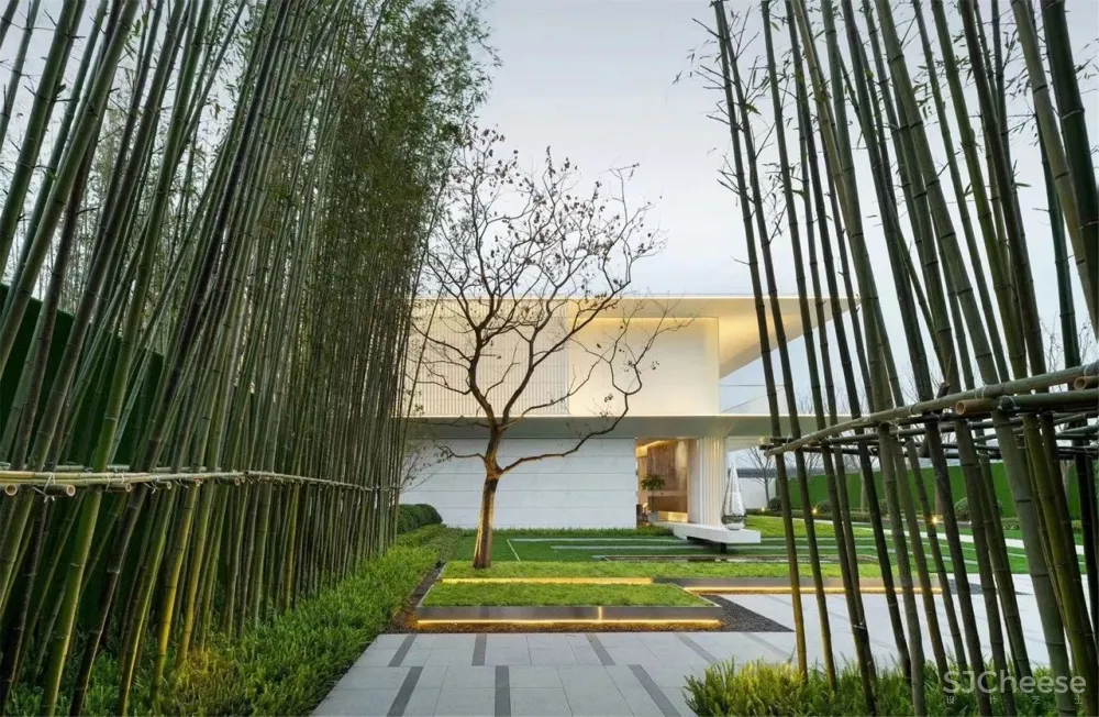 一目新作:移步易景,运河盛世下的现代自然美学
