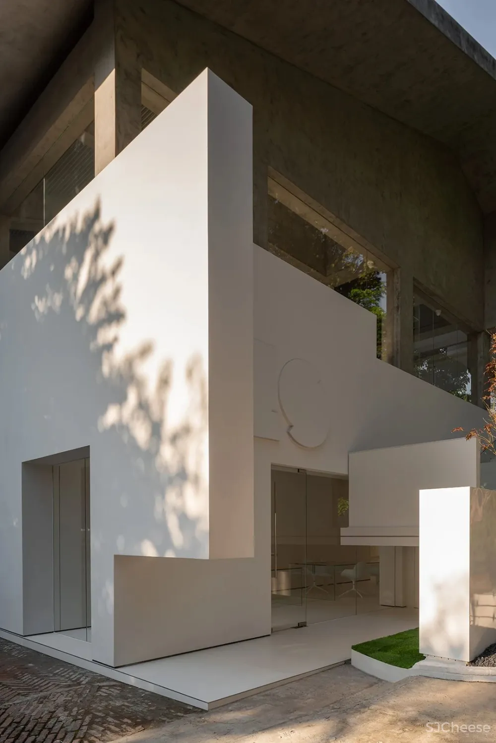 DOMANI 东 仓 白 · ZS Lab