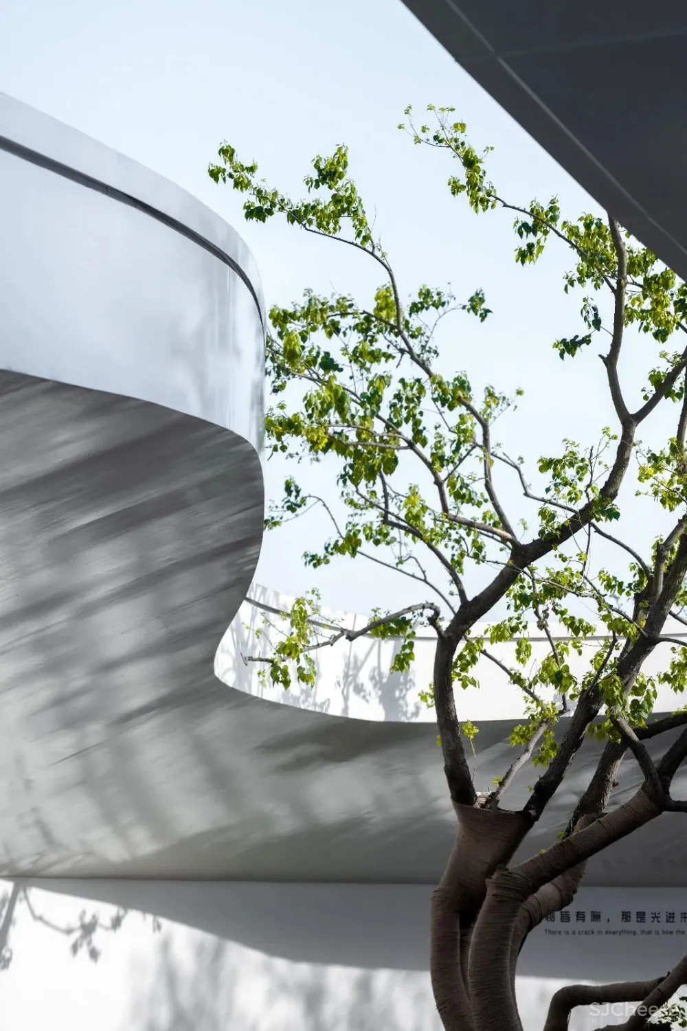 向美而生 徐州美的·天誉