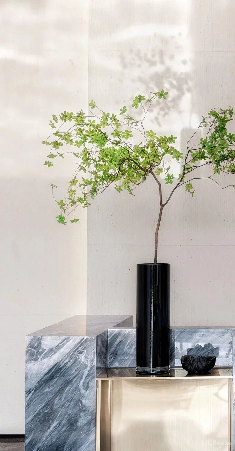 光影下的自然之舞，别具一格的清丽灵动！