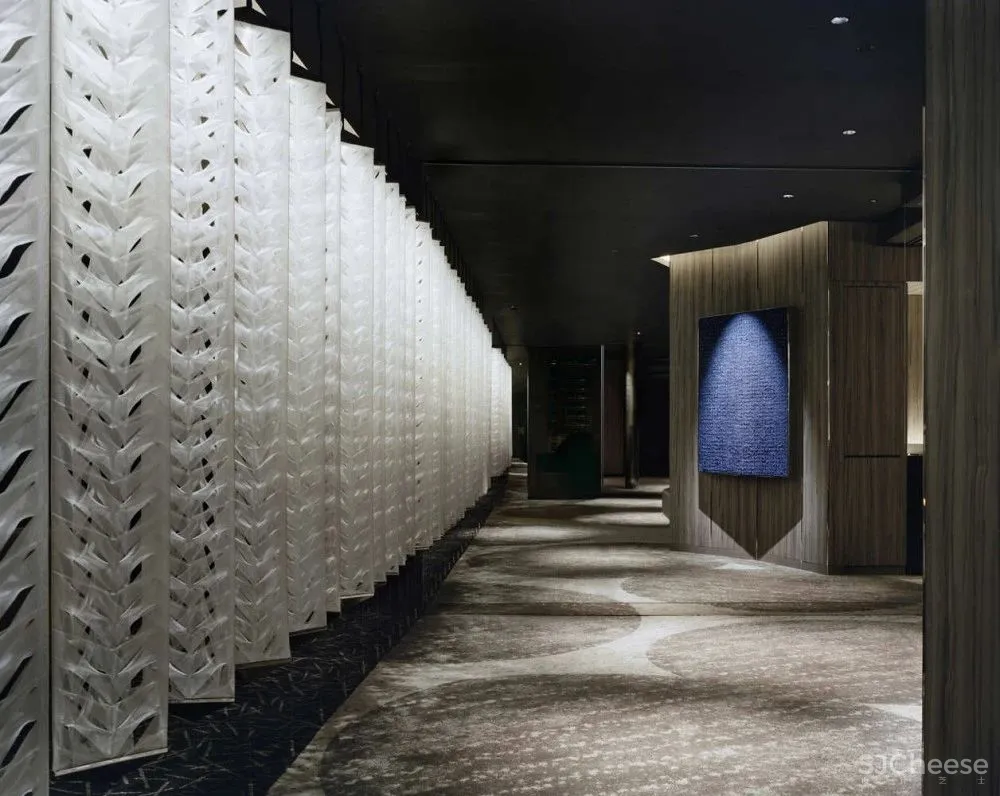 Curiosity事务所-纯正的东京Opus Arisugawa 公寓!