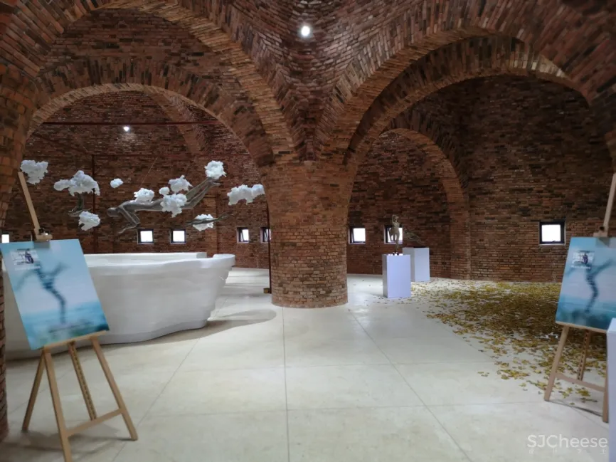 CCD 半朵雲遊天地間