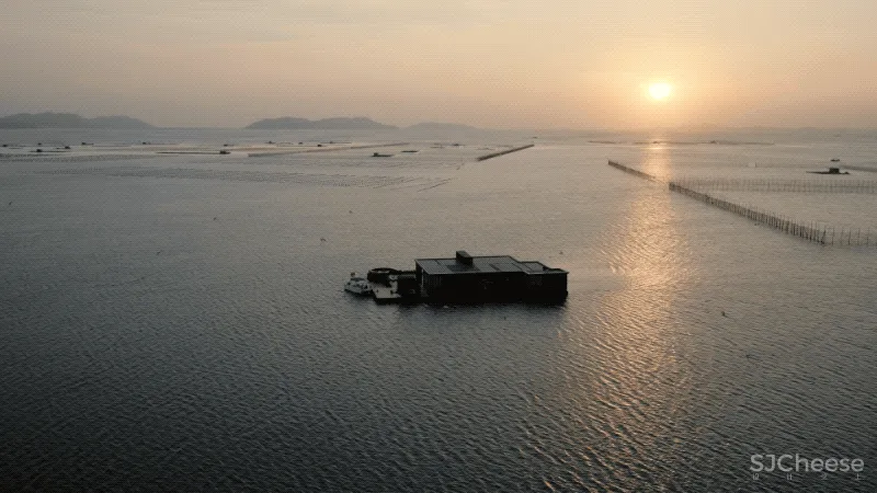 福建小哥租下一片海,造600㎡漂浮大平层:我随时可以与世隔绝