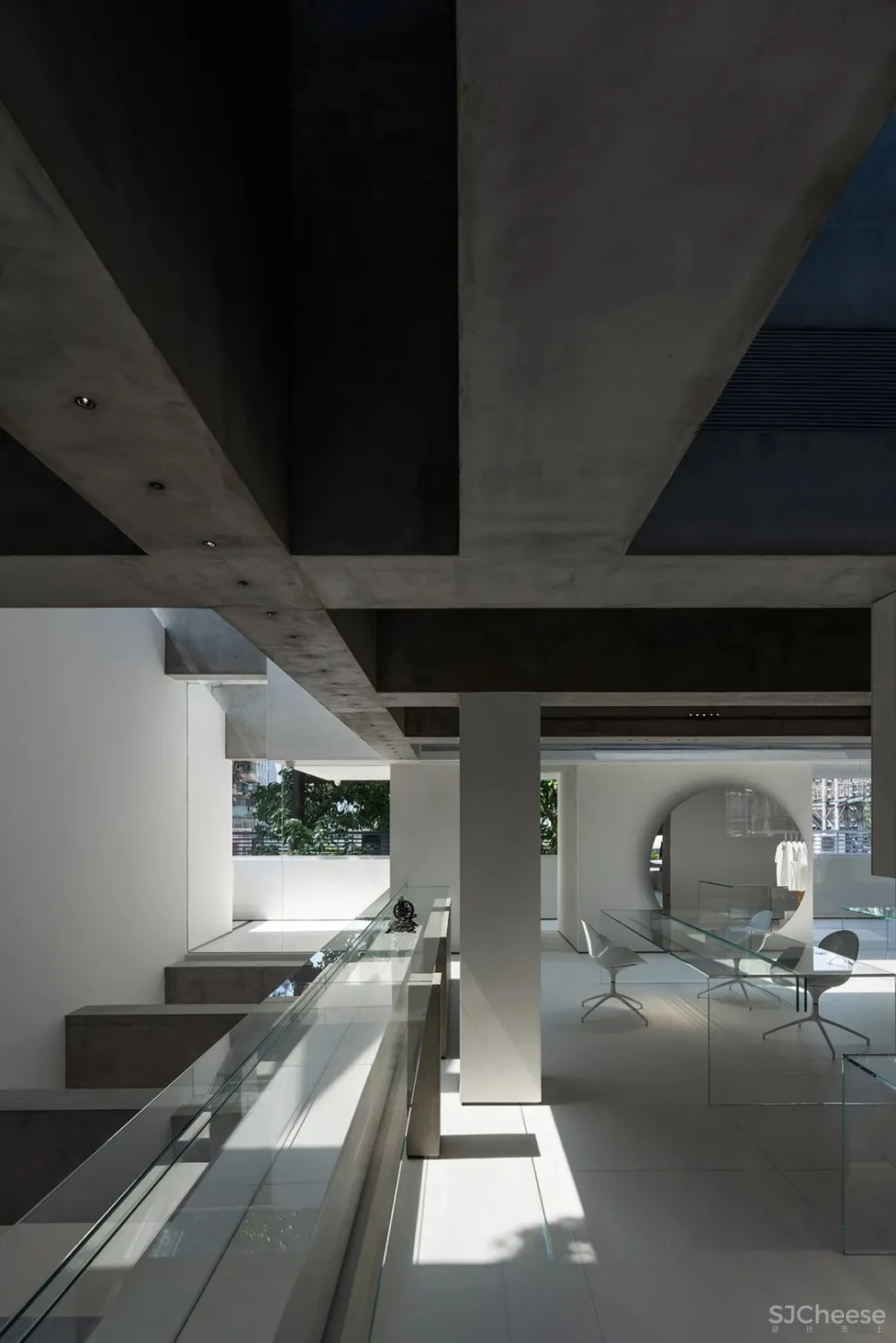 DOMANI 东 仓 白 · ZS Lab