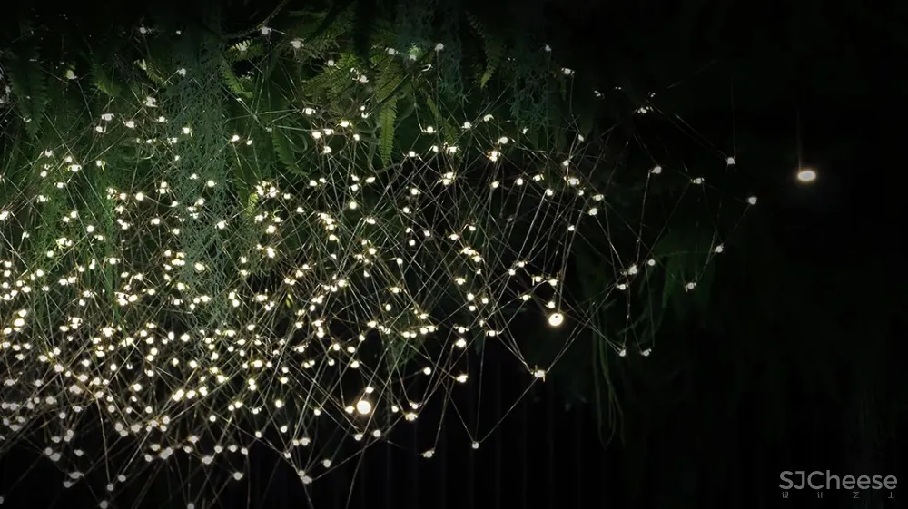 PONE普利策 万物几何,解构野性的诗意