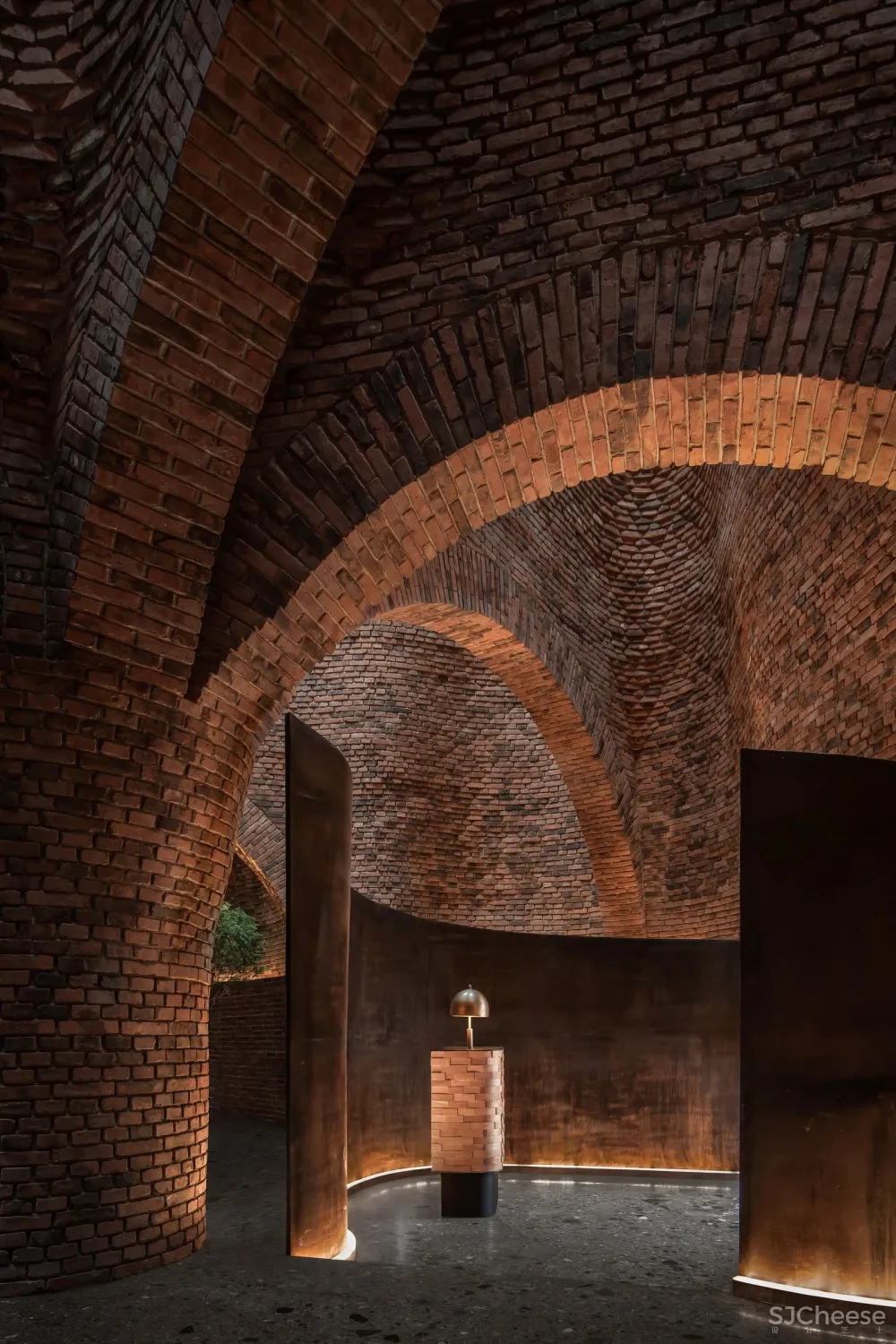 CCD 半朵雲遊天地間