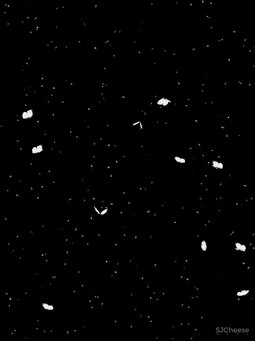 几朵设计 - 中梁新城：破茧成蝶，望见新生