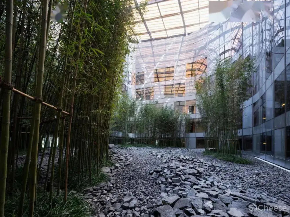 北京大兴国际机场木棉花酒店-“新国门”的旅人书房