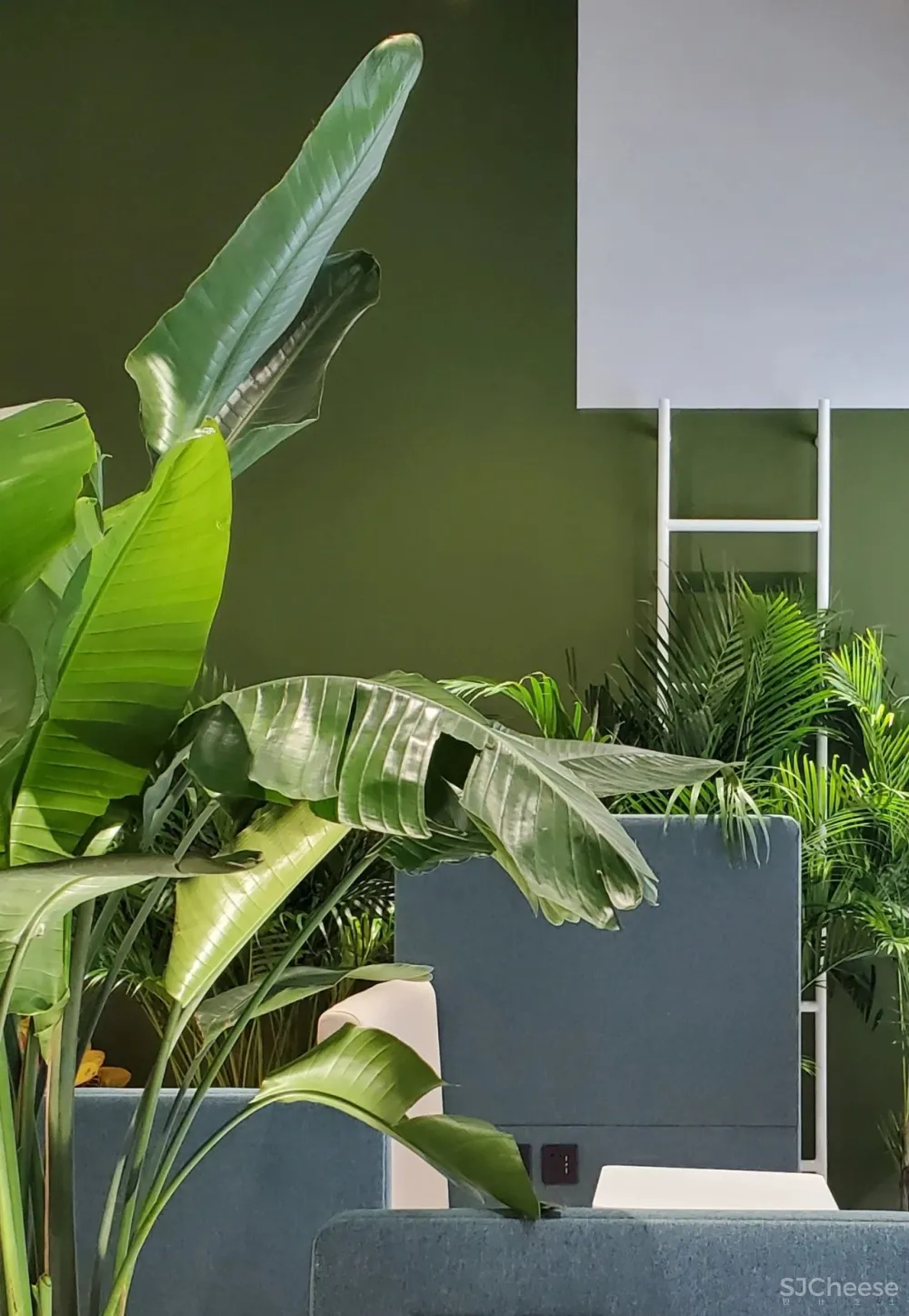 QUCESS清石设计丨一呼一吸之间·新陈代谢设计观的全方向实践