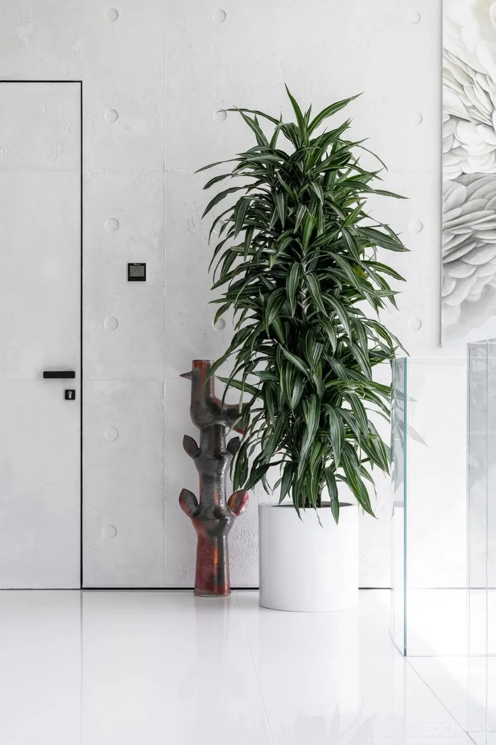 5000㎡极简奢宅,致敬安藤忠雄!