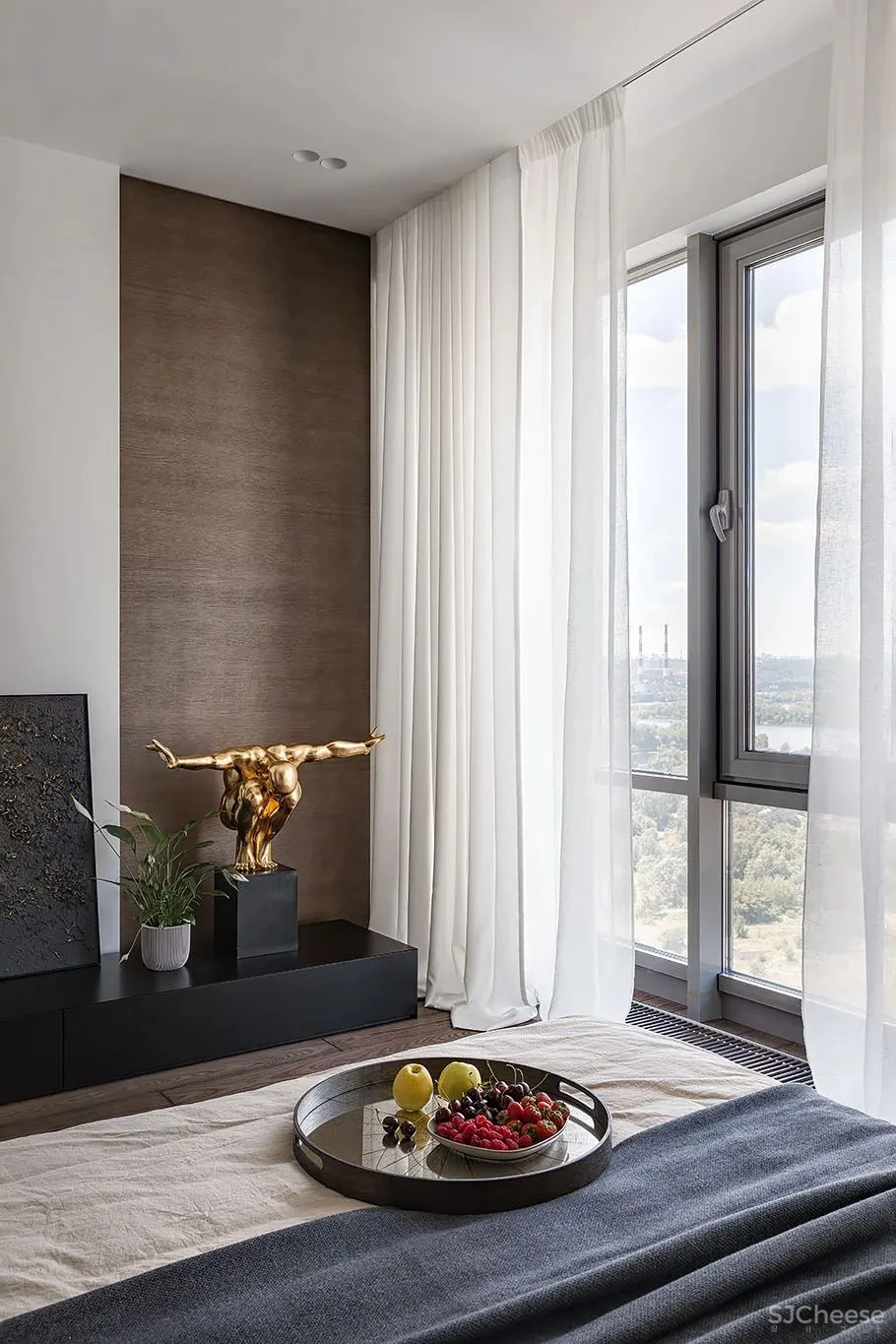 现代极简风一居室 Diana Lobodiuk