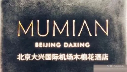 北京大兴国际机场木棉花酒店-“新国门”的旅人书房