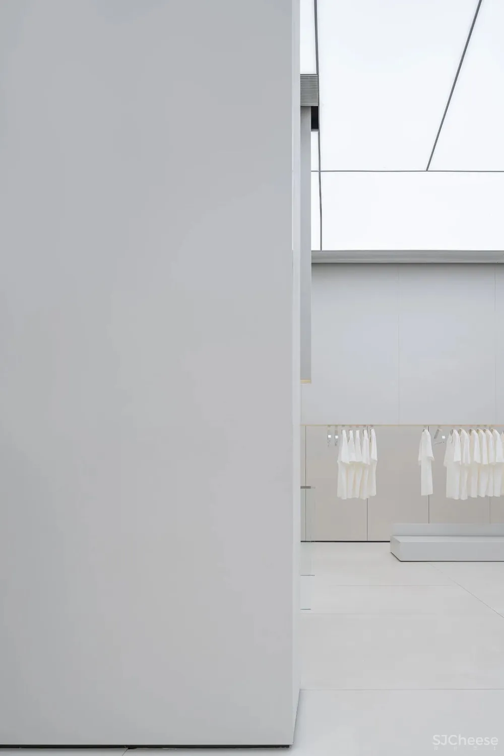 DOMANI 东 仓 白 · ZS Lab