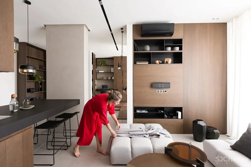 现代极简风一居室 Diana Lobodiuk