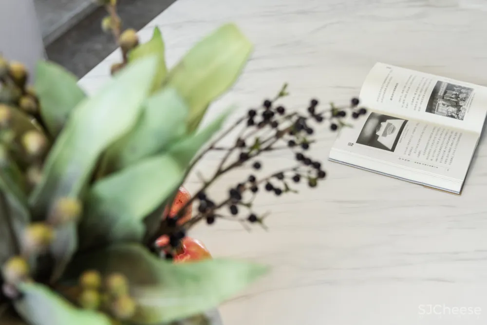 300㎡河畔大平层，现代生活的诗意栖居！