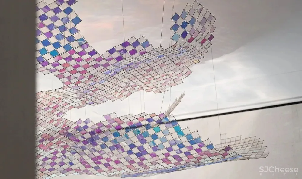 光影下的自然之舞，别具一格的清丽灵动！