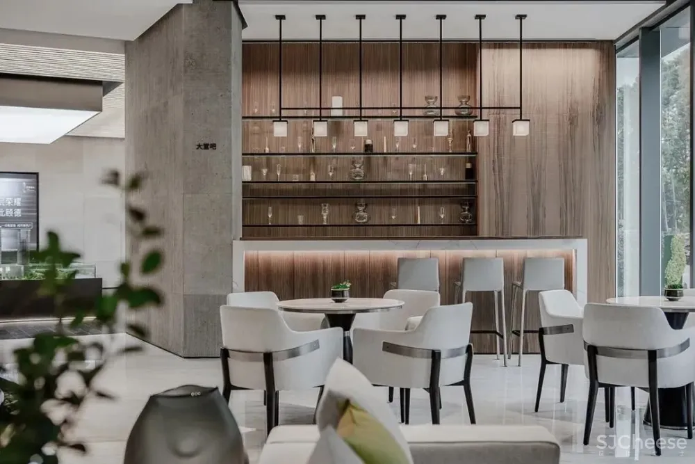 纯净干练的设计,挡不住的魅力格调 当境设计