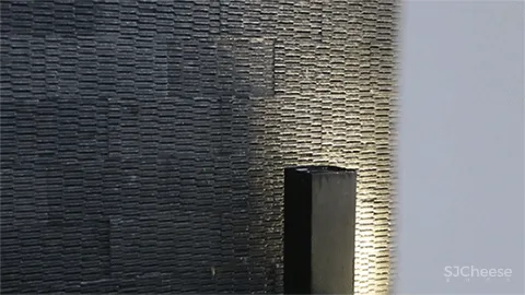 王中丞先生新作 浮光掠影