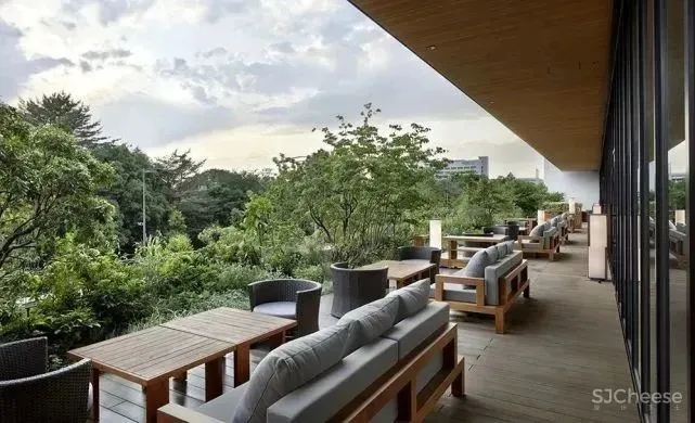 Curiosity事务所-纯正的东京Opus Arisugawa 公寓!