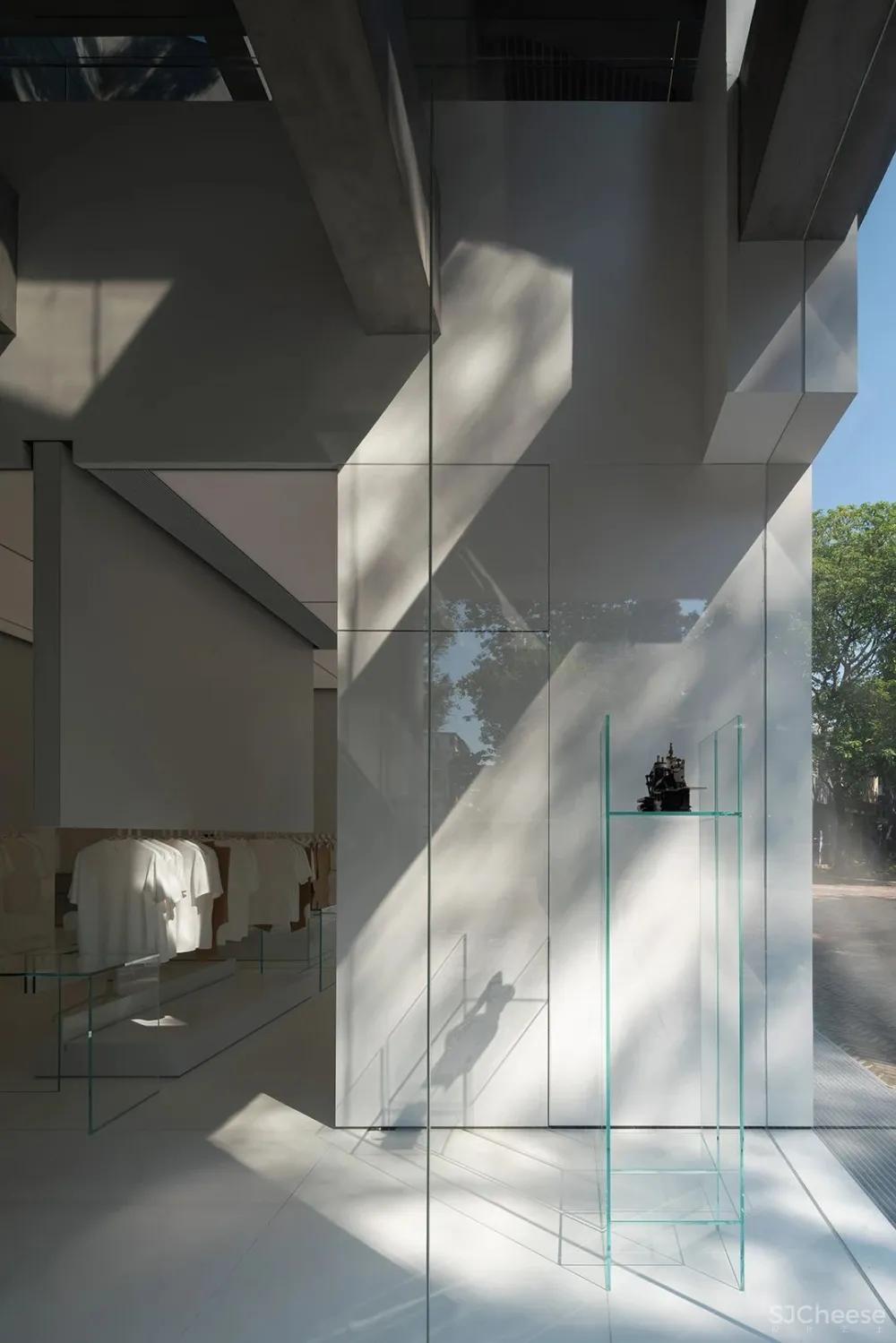 DOMANI 东 仓 白 · ZS Lab