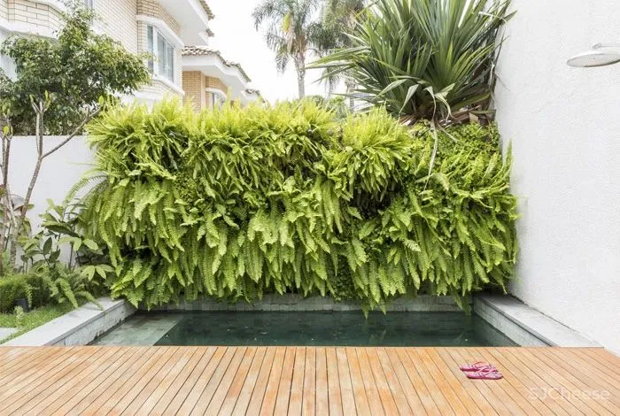 两位金融精英与他们的三个孩子,就要这一份舒缓与无压的生活空间