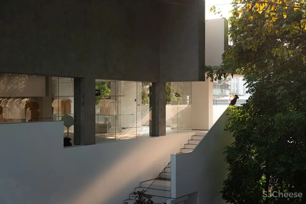 DOMANI 东 仓 白 · ZS Lab