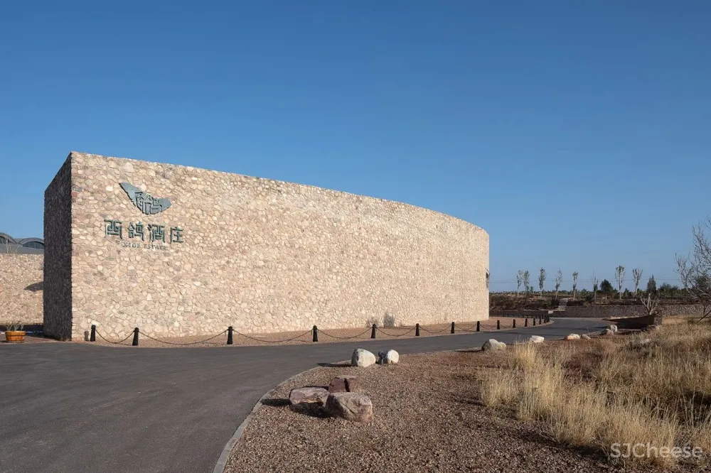 Winner 相上文象 × 西鸽酒庄：获 Best of Year Awards 2020年度最佳大奖