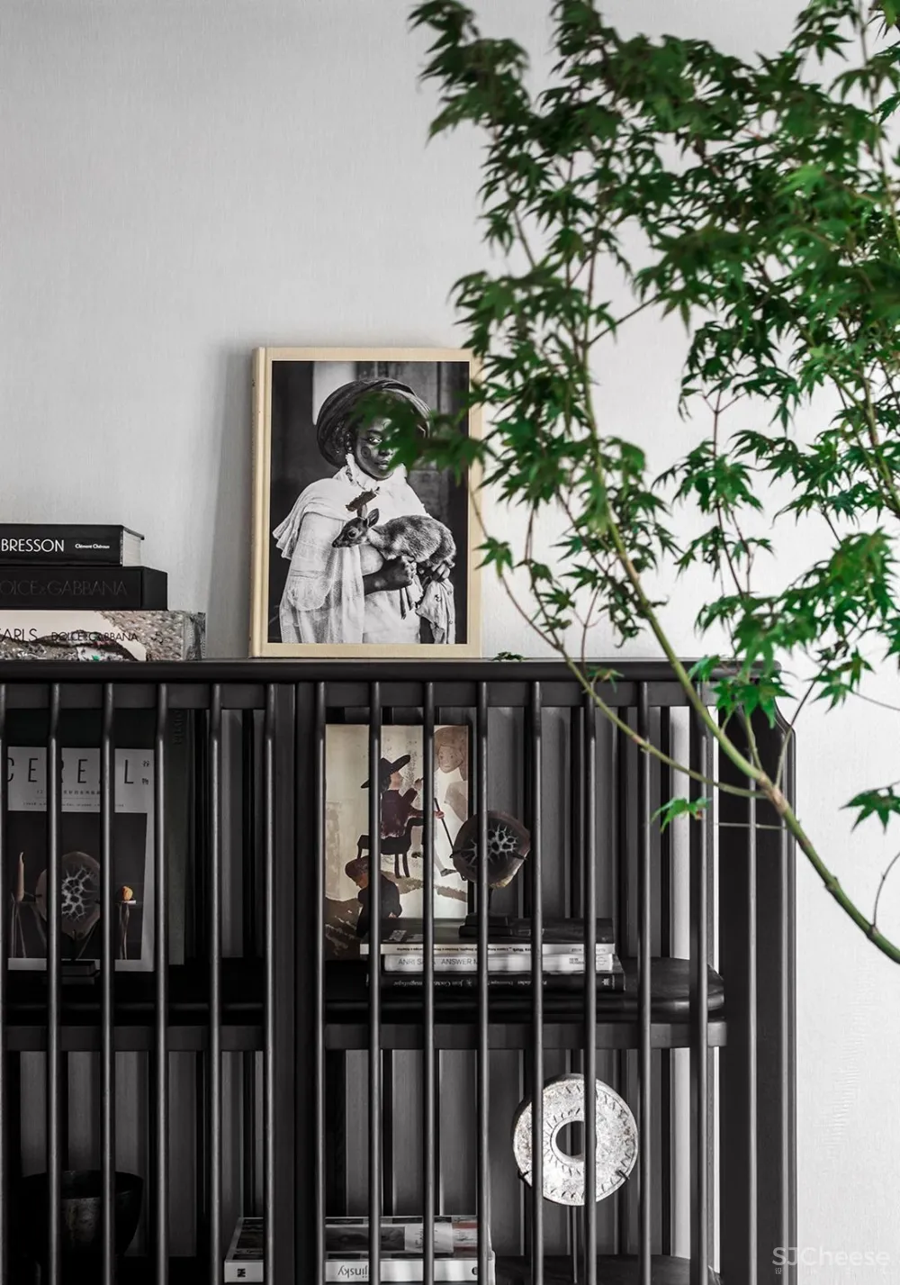 TCD² 上海翠湖 230 ㎡ 大宅,顶层精神归属