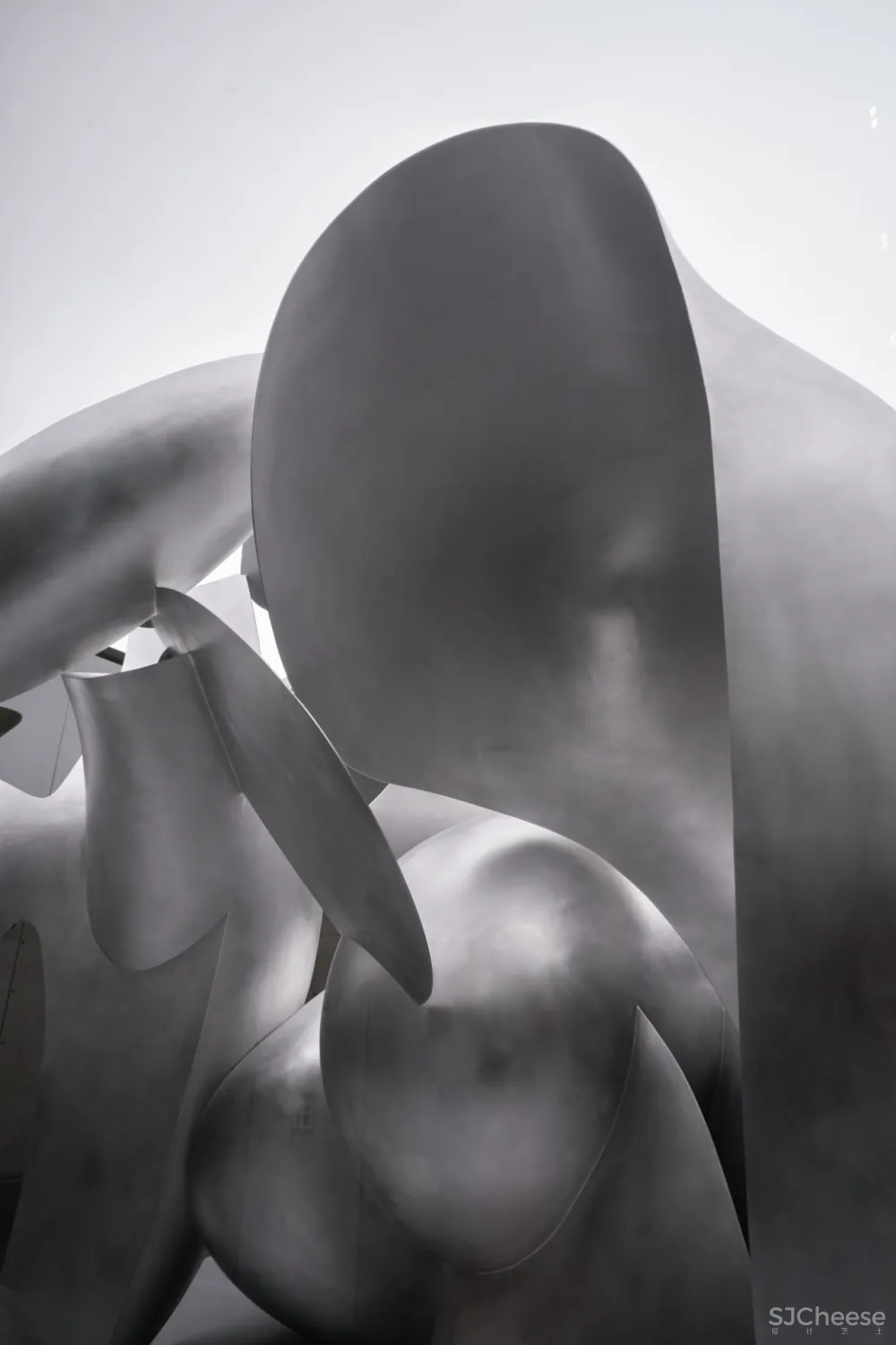 看不懂就对了!2020年末的上海,无数人为它疯狂排队打卡