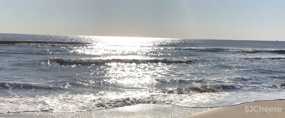 绽放设计 × 熹茗茶空间:向内造园