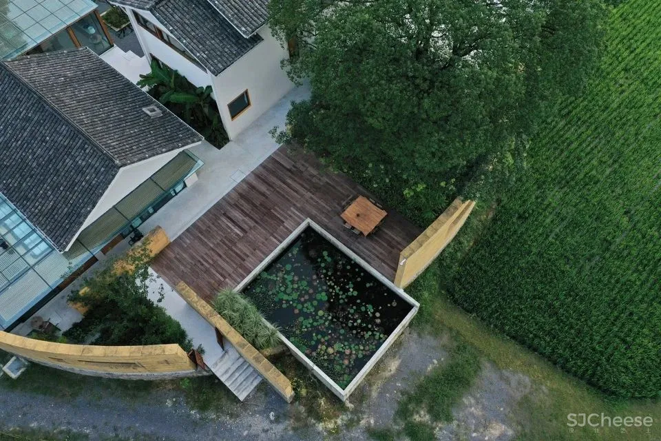 稻田里的农舍 自带烟火温度的家