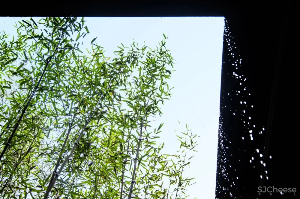 圣火设计 × 黄山愿景酒店 :墨瓦白墙的静谧之美